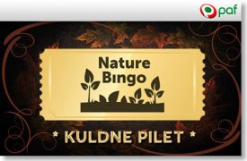 nature-bingo-kuldne-pilet-paf-boonused-1-275x180 NATURE BINGO KULDNE PILET ANNAB SUUREMAD VÕIDUD kasiino kampaaniad page-2 kasiino kampaaniad page-2 nature bingo kuldne pilet paf boonused 1 275x180