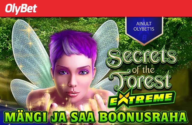 Secret of the Forest Extreme