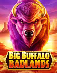 Big Buffalo Badlands