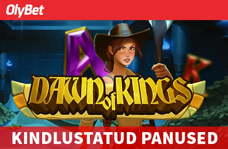 KINDLUSTATUD PANUSEID