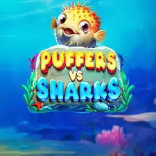 PUFFERS VS SHARKS