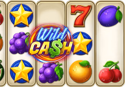 Õnneratta spinnid – Wild Cash