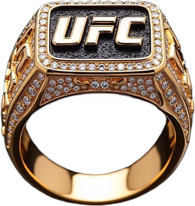 UFC 316