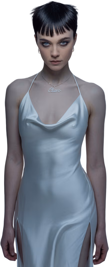 Lovely Lady - foto